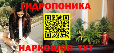 каннабис Будённовск