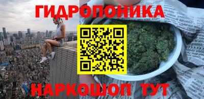 прущие грибы Бузулук