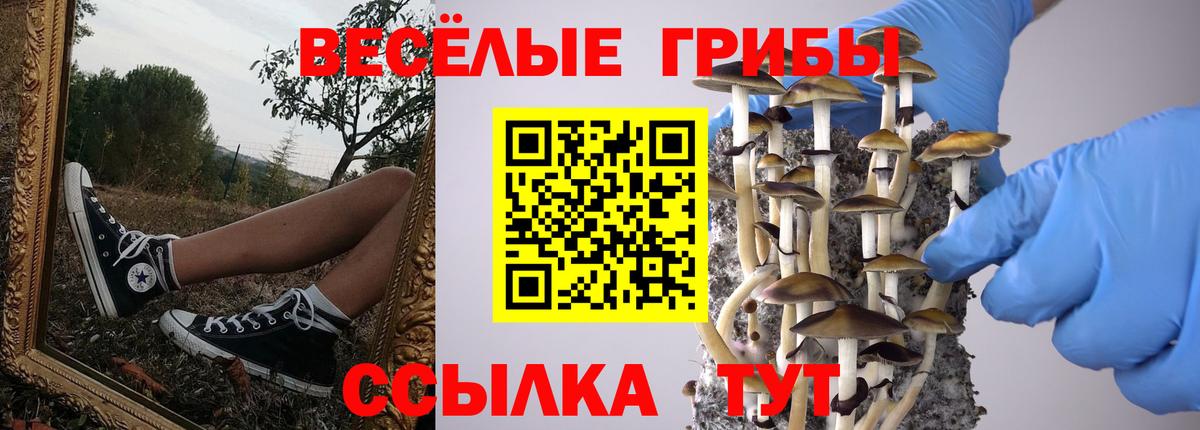 где купить наркоту  Галлюциногенные грибы прущие грибы  Вход с VPN  Нижнеудинск 